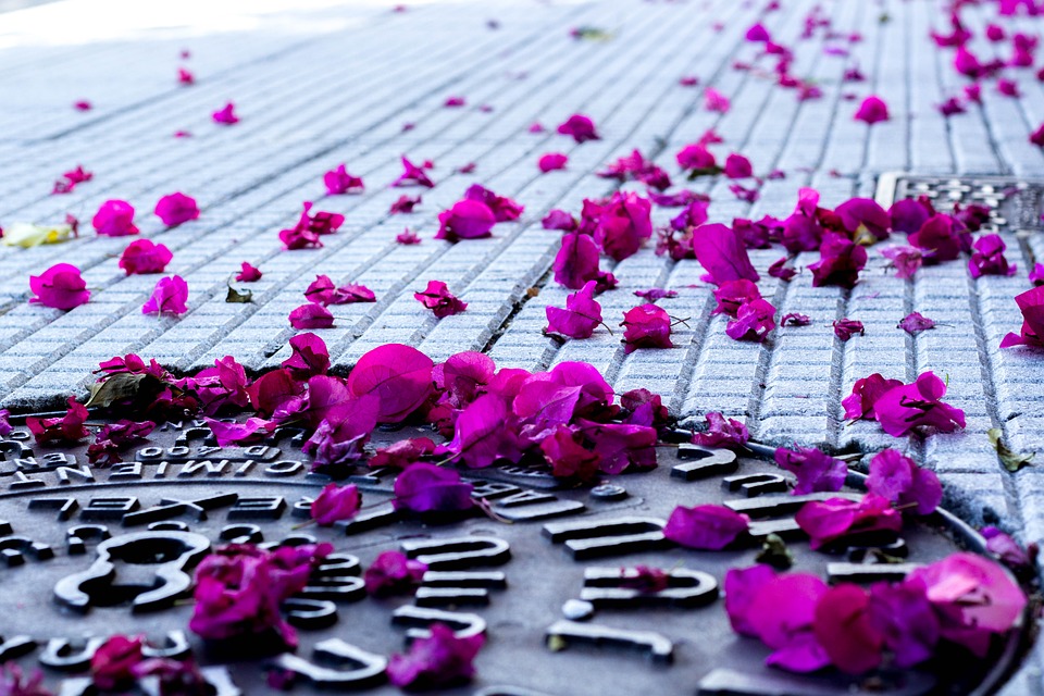 rejillas de fierro fundido